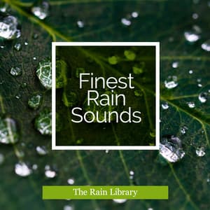 Finest Rain Sounds - The Rain Library