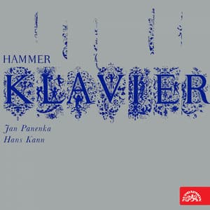 Hammer Klavier - Jan Panenka