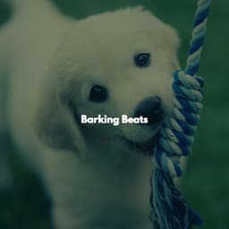 Barking Beats - Productivity Music
