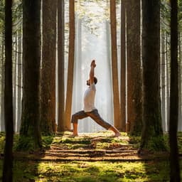 Yoga Suave: Música Suave Para La Flexibilidad - Camino a la paz