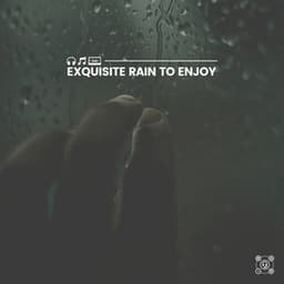 Exquisite Rain to Enjoy - Rainfall Place