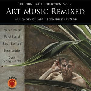 The John Harle Collection, Vol. 21: Art Music Remixed - John Harle
