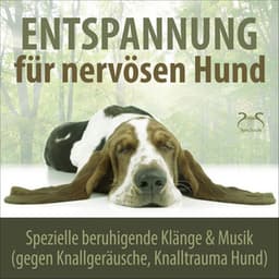 Entspannung für nervösen Hund: Spezielle beruhigende Klänge & Musik - Torsten Abrolat