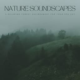 Nature Soundscapes: A Relaxing Forest Environment For Your Spa Day - Earth Melody