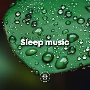 Sleep Music - Nature Sounds