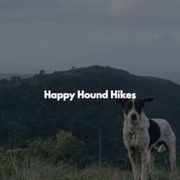 Happy Hound Hikes - Chilled Jazz Masters