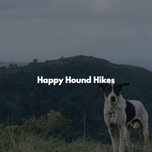 Happy Hound Hikes - Chilled Jazz Masters