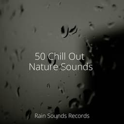50 Chill Out Nature Sounds - Meditation