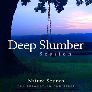 Deep Slumber Session - Nature Sounds for Relaxation and Sleep
