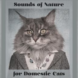 Sounds of Nature for Domestic Cats - 15 New Age Melodies Especially for Animals Which Don't Leave the House, Relaxation for a Pet, Closer to Nature, Instinct, Feel Secure, Best Friend, Birds, River, Rain - Nature Sounds