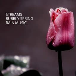 Streams: Bubbly Spring Rain Music - Rain Hive