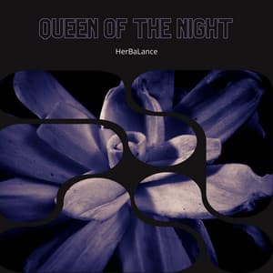 Queen of the Night: The Magic of Passionflower - HerBaLance