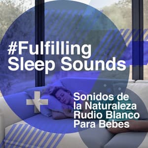 #Fulfilling Sleep Sounds - Sonidos de la Naturaleza Rudio Blanco Para Bebes