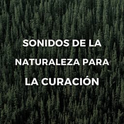 Sonidos De La Naturaleza Para La Curación - El proyecto de la naturaleza