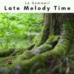 1 Late Melody Time - Le Sommeil