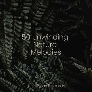 50 Unwinding Nature Melodies - Música Relajante para Bebés
