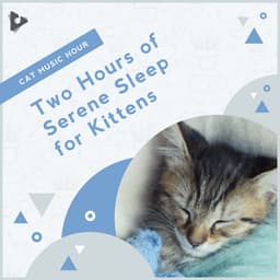 2 Hours of Serene Sleep for Kittens - Cat Music Hour