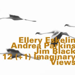 12 Imaginary Views - Ellery Eskelin