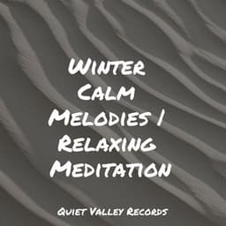 Winter Calm Melodies | Relaxing Meditation - Rain Man Sounds