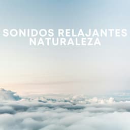 Sonidos Relajantes Naturaleza - Chuva de Ruído Branco