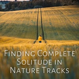 Finding Complete Solitude in Nature Tracks - Nature Of Sweden