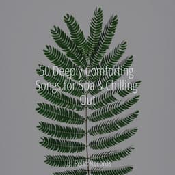 50 Deeply Comforting Songs for Spa & Chilling Out - Deep Sleep Meditation