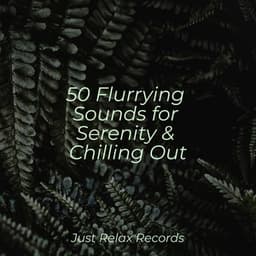 50 Flurrying Sounds for Serenity & Chilling Out - Powerthoughts Meditation Club