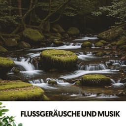 Flüsse und Bäche: Melodien der Ruhe - Relajacion