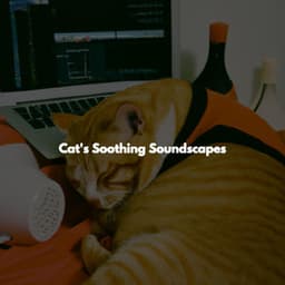 Cat's Soothing Soundscapes - Cheerful Instrumental Cafe Jazz