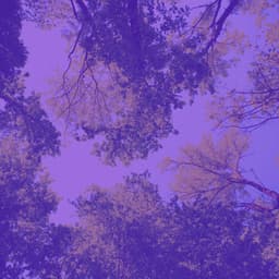 Feelings for After Hours Work - Música Ambiental para Cafés