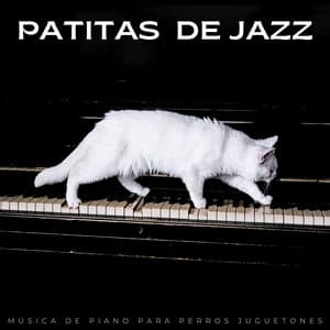Patitas De Jazz: Música De Piano Para Perros Juguetones - Bossa Nova Jazz