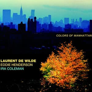 Colors of Manhattan - Laurent De Wilde