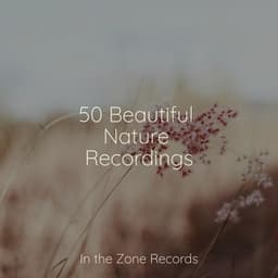 50 Beautiful Nature Recordings - Chinese Relaxation and Meditation