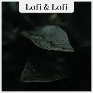 Lofi Rain Beats - Lofi & Lofi