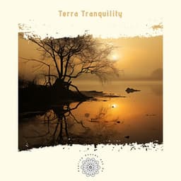 Terra Tranquility: Grounding in Earth’s Gentle Embrace - Healing Sounds 432 Hz