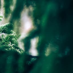 50 White Noise For Nightime: Whispers - White Noise for Babies