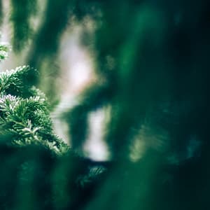 50 White Noise For Nightime: Whispers - White Noise for Babies