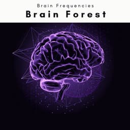Brain Forest - Spiritual Yoga