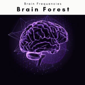 Brain Forest - Spiritual Yoga