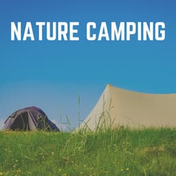 Nature Camping - Nature Calm