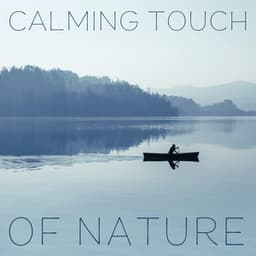 Calming Touch of Nature: Unwind After Stressful Day - The Calming Sounds Of Nature