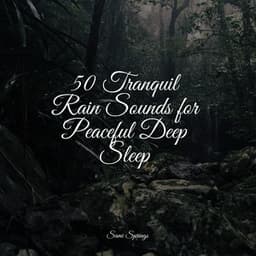 50 Rain Sounds for Meditation - The Sleep Helpers