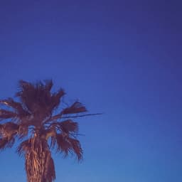 1 Coastal Night: Oceanic Tranquility Tango - Ocean Sounds