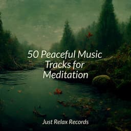 50 Peaceful Music Tracks for Meditation - Soothing Sounds