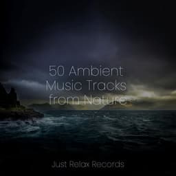 50 Ambient Music Tracks from Nature - Meditar Profundamente