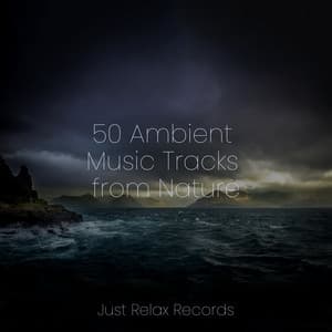 50 Ambient Music Tracks from Nature - Meditar Profundamente