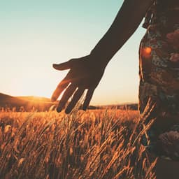 Lofi Chill for Complete Relaxation Moments - Lofi Masters