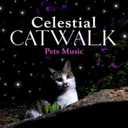 Celestial Catwalk - Pets Music