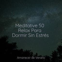 Meditative 50 Relax Para Dormir Sin Estrés - Meditación Interna