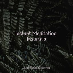 Instant Meditation Insomnia - Sonidos de la Naturaleza Relajacion